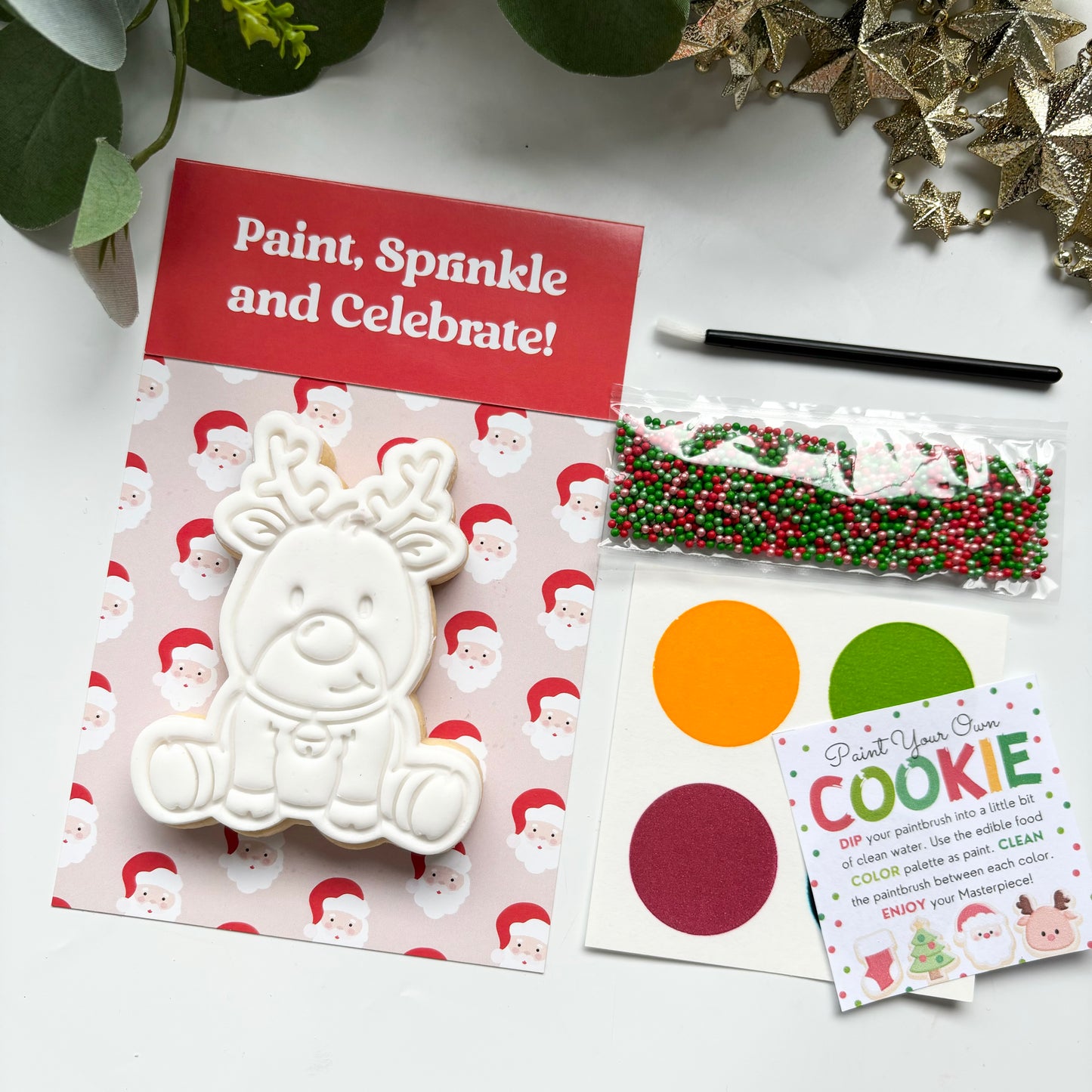 CHRISTMAS COOKIE PAINT YOUR OWN SINGLE PACK