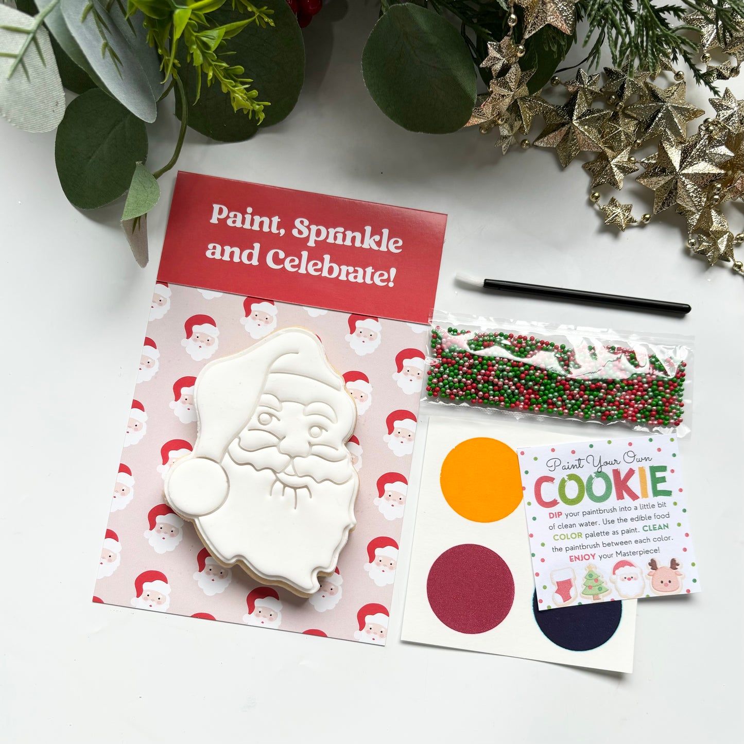 CHRISTMAS COOKIE PAINT YOUR OWN SINGLE PACK