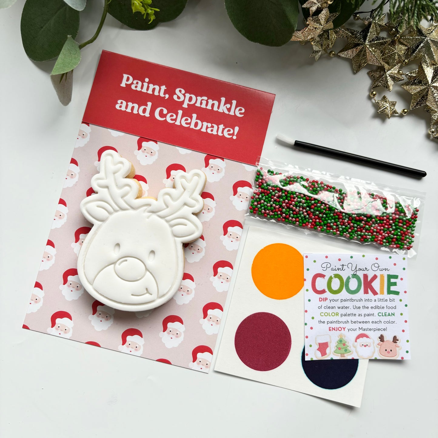 CHRISTMAS COOKIE PAINT YOUR OWN SINGLE PACK