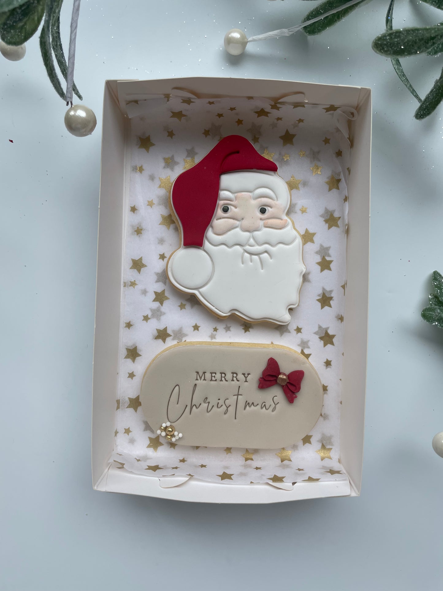 CHRISTMAS COOKIES 2 pack Santa