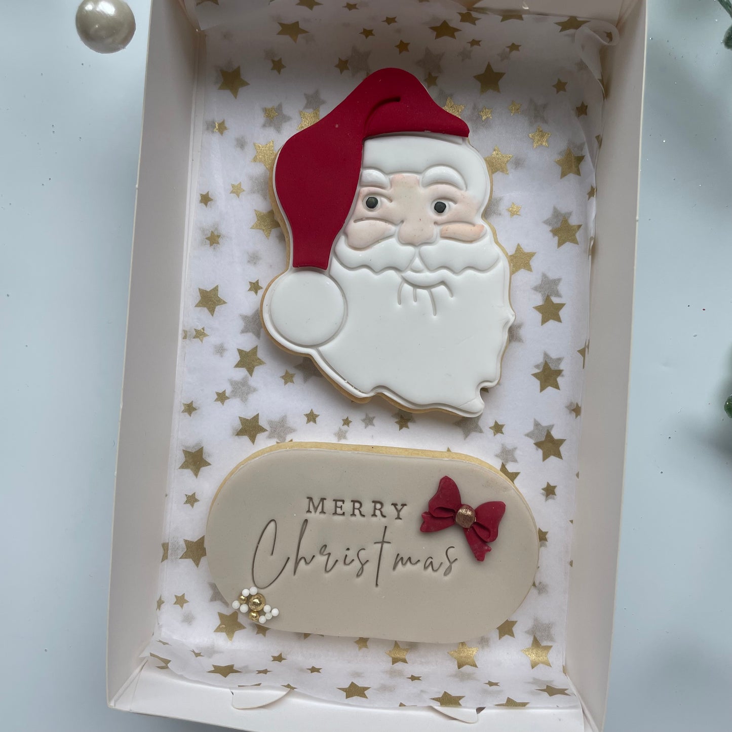 CHRISTMAS COOKIES 2 pack Santa
