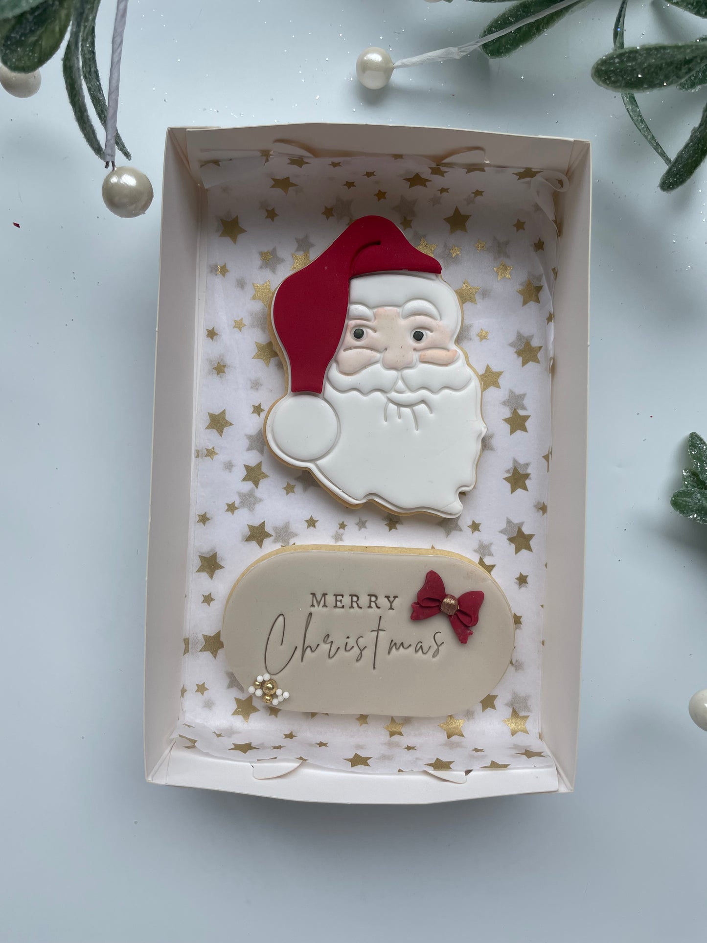 CHRISTMAS COOKIES 2 pack Santa