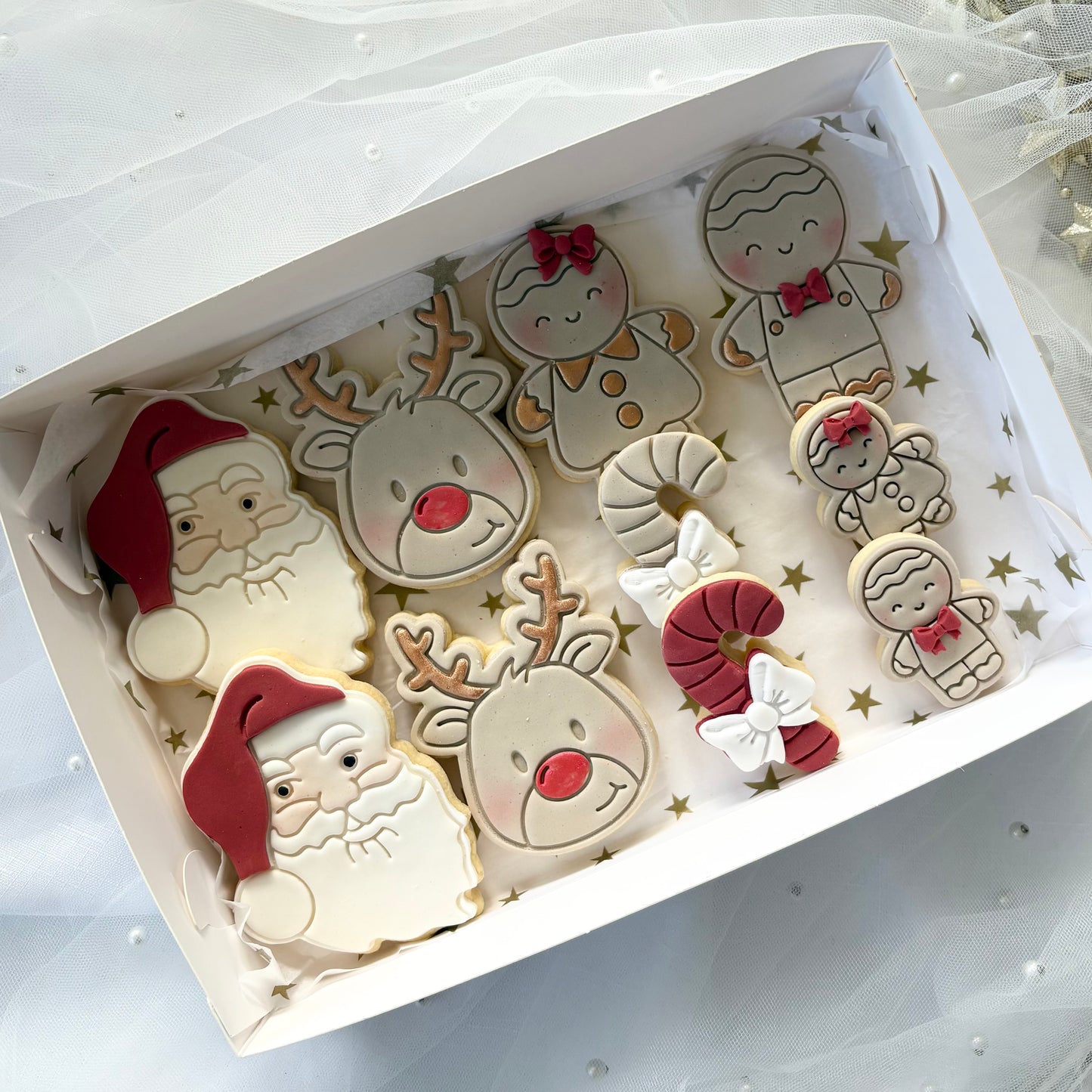 CHRISTMAS COOKIE 10 PACK